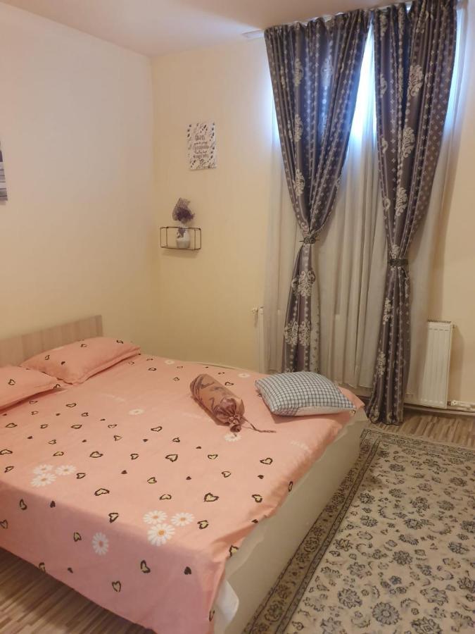 Hotel Relax Haus Hunedoara Exterior foto